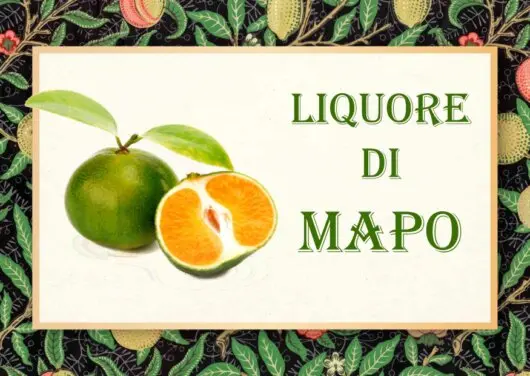 etichetta liquore di mapo etichetta liquore di mapo