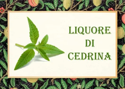 etichetta liquore di cedrina etichetta liquore di cedrina