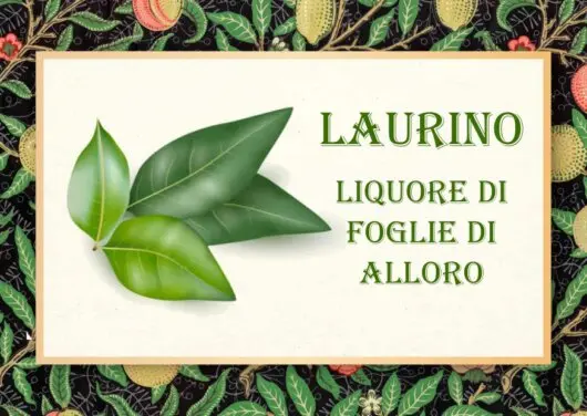 etichetta laurino etichetta laurino
