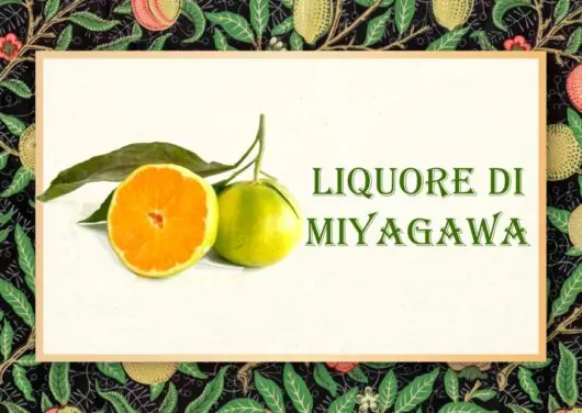 etichetta liquore di miyagawa etichetta liquore di miyagawa