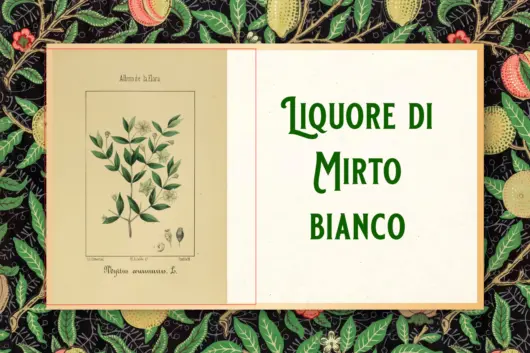 etichetta liquore di mirto