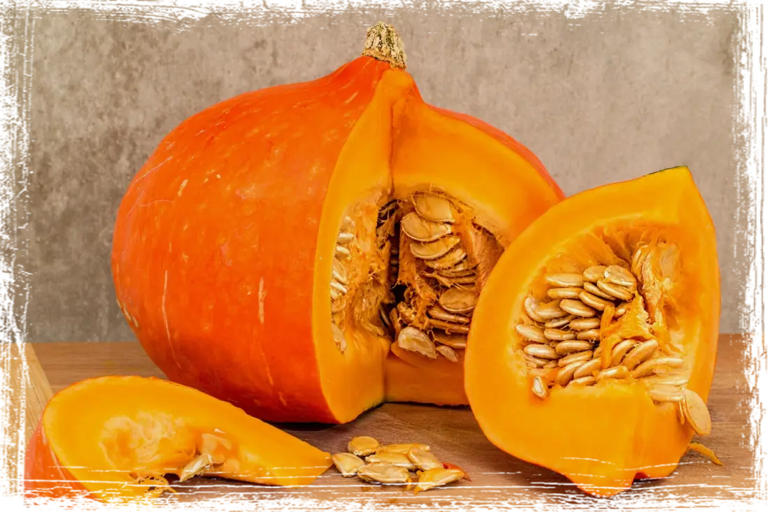 Zucca e semi all'interno Zucca e semi all'interno