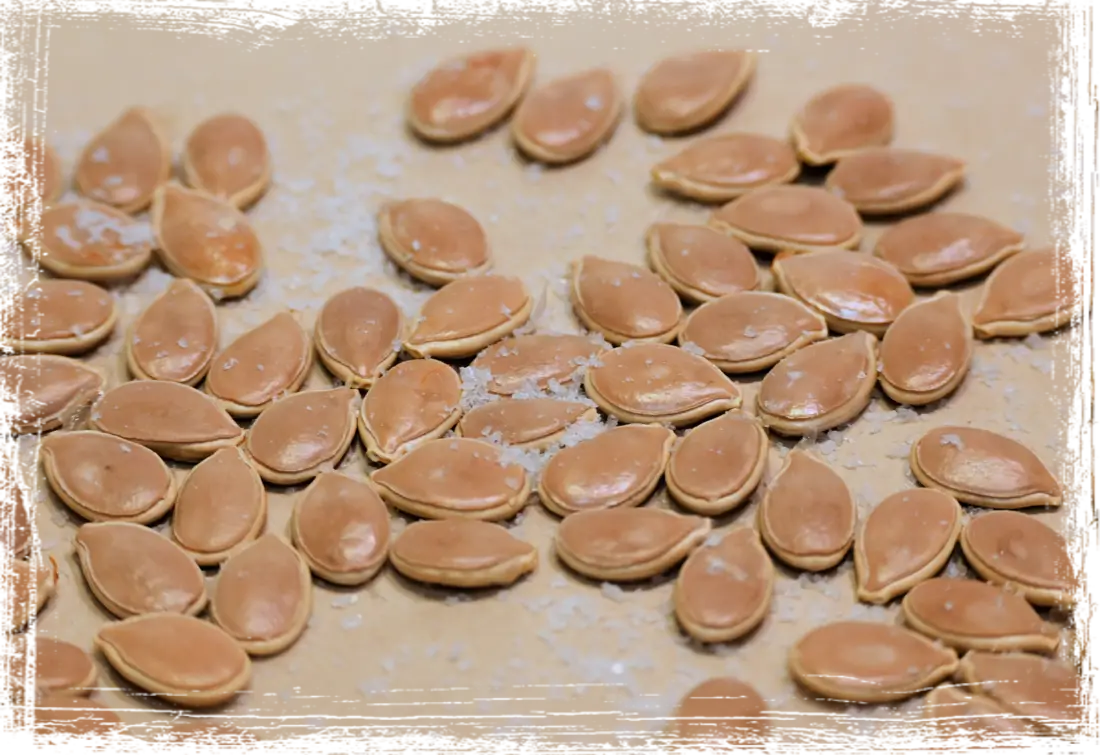 Semi di zucca prima di essere tostati Semi di zucca prima di essere tostati