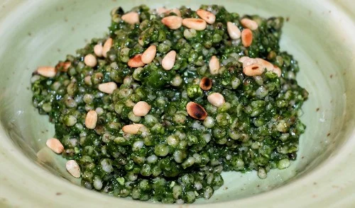 Sorgo con pesto di cavolo nero