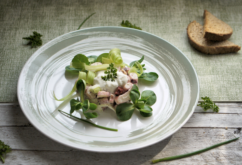Tentacoli di totano con burrata Tentacoli di totano con burrata