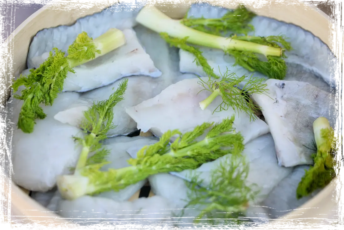 Rombo al vapore con maionese agli agrumi Rombo al vapore con maionese agli agrumi
