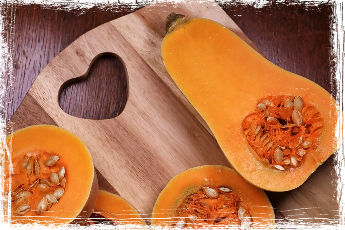Zucca Zucca