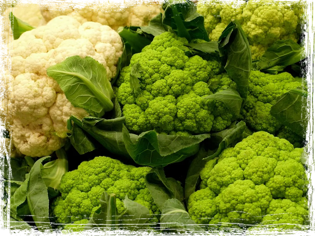 Cavolfiori Cavolfiori
