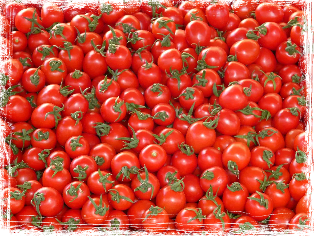 Pomodoro Pomodoro