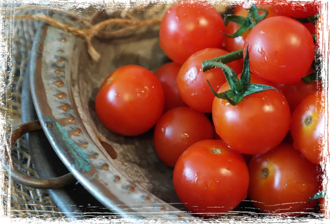 Pomodoro Pomodoro