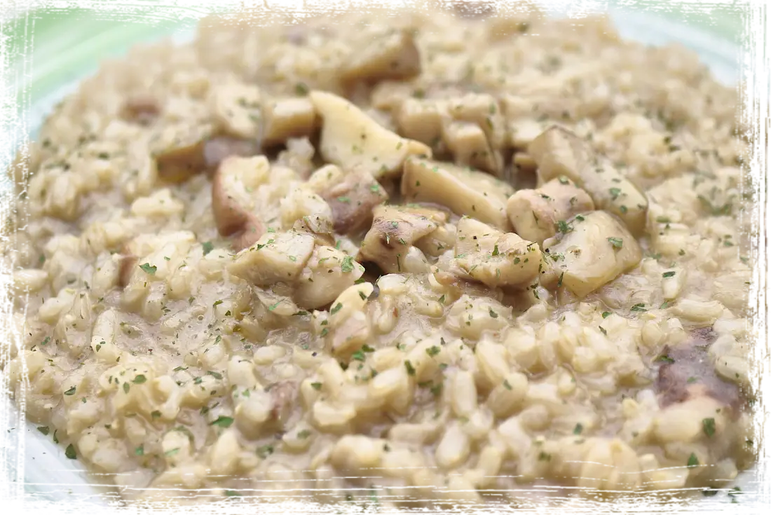 Risotto integrale ai porcini freschi Risotto integrale ai porcini freschi