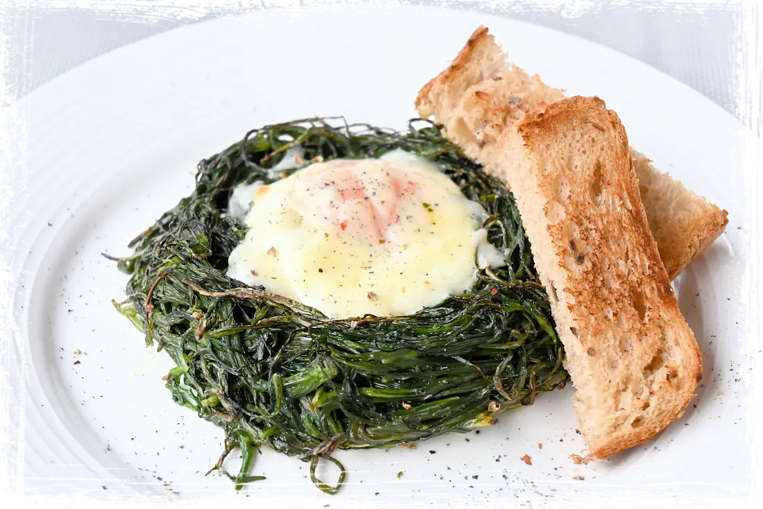 Nidi di agretti Nidi di agretti