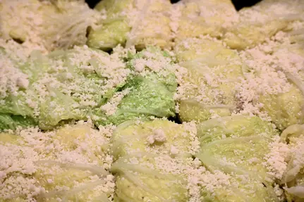 Disporre gli involtini ottenuti in una teglia leggermente oliata, cospargere di abbondante parmigiano grattugiato e infornare a 180° per circa 20 minuti.