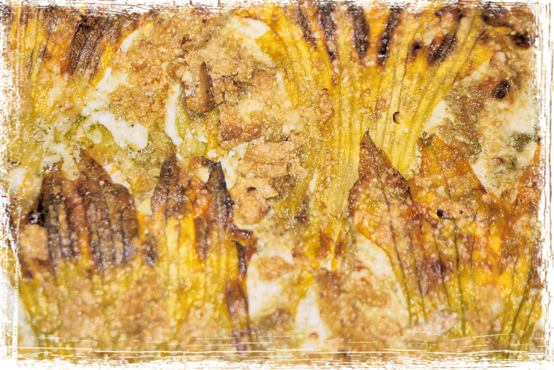 Lasagna ai fiori di zucca con pesto di basilico Lasagna ai fiori di zucca con pesto di basilico