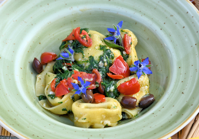 Tortelloni di ricotta con borragine e olive taggiasche